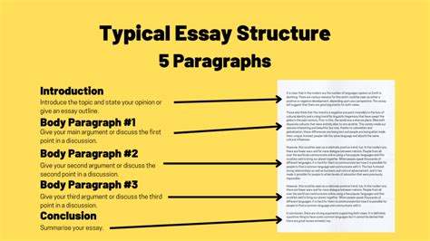 What are the 5 Paragraphs in an Essay: A Diverse Exploration